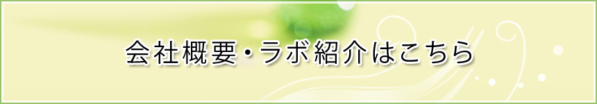 会社概要・ラボ紹介はこちら